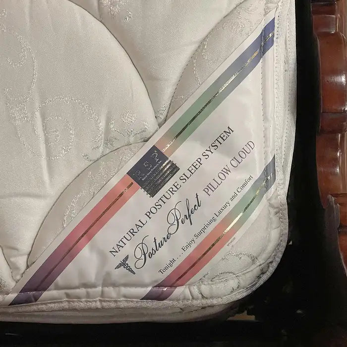 19Th Century Napoleon Mahogany Wall Bed – French Second Empire Design