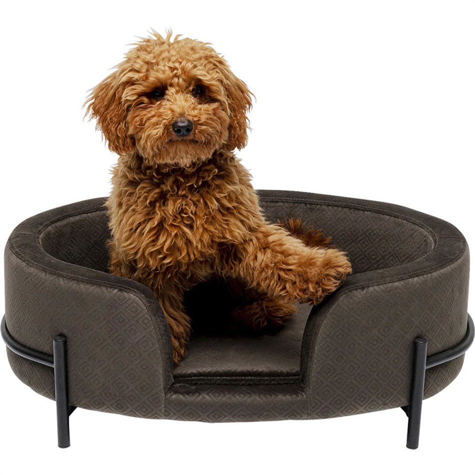 Dream Day Grey Pet Bed – H24 × W61 × D42 cm