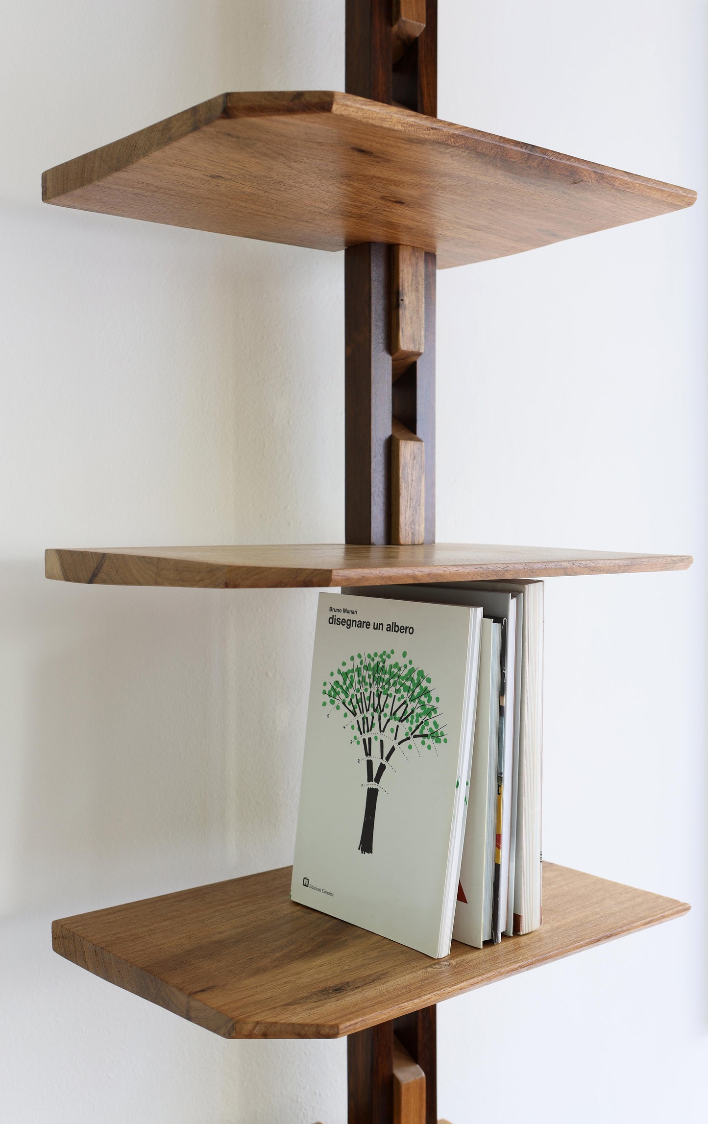 Contemporary Brazilian Hardwood Book Shelf Stand with Brass Details – Adjustable Shelves