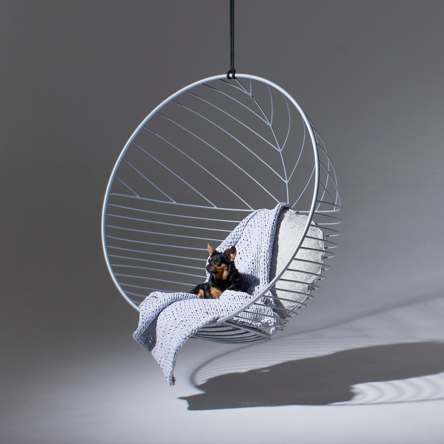 Hanging chair with a blanket and a small dog on a gray background