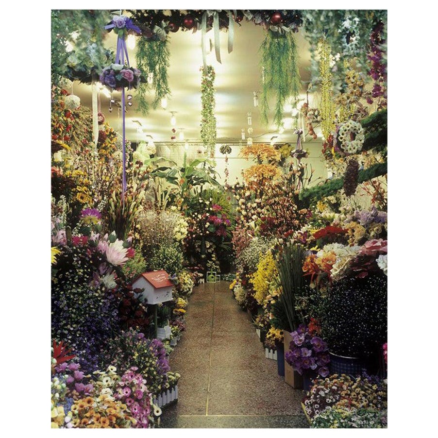 Busano 03 – Artificial Paradise Series Photography