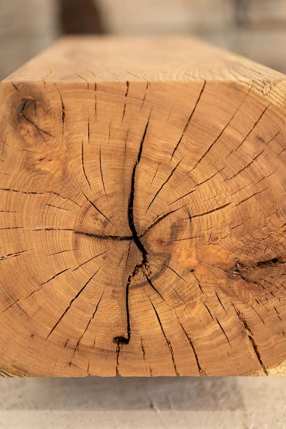 Close-up of a wooden log with visible grain and texture