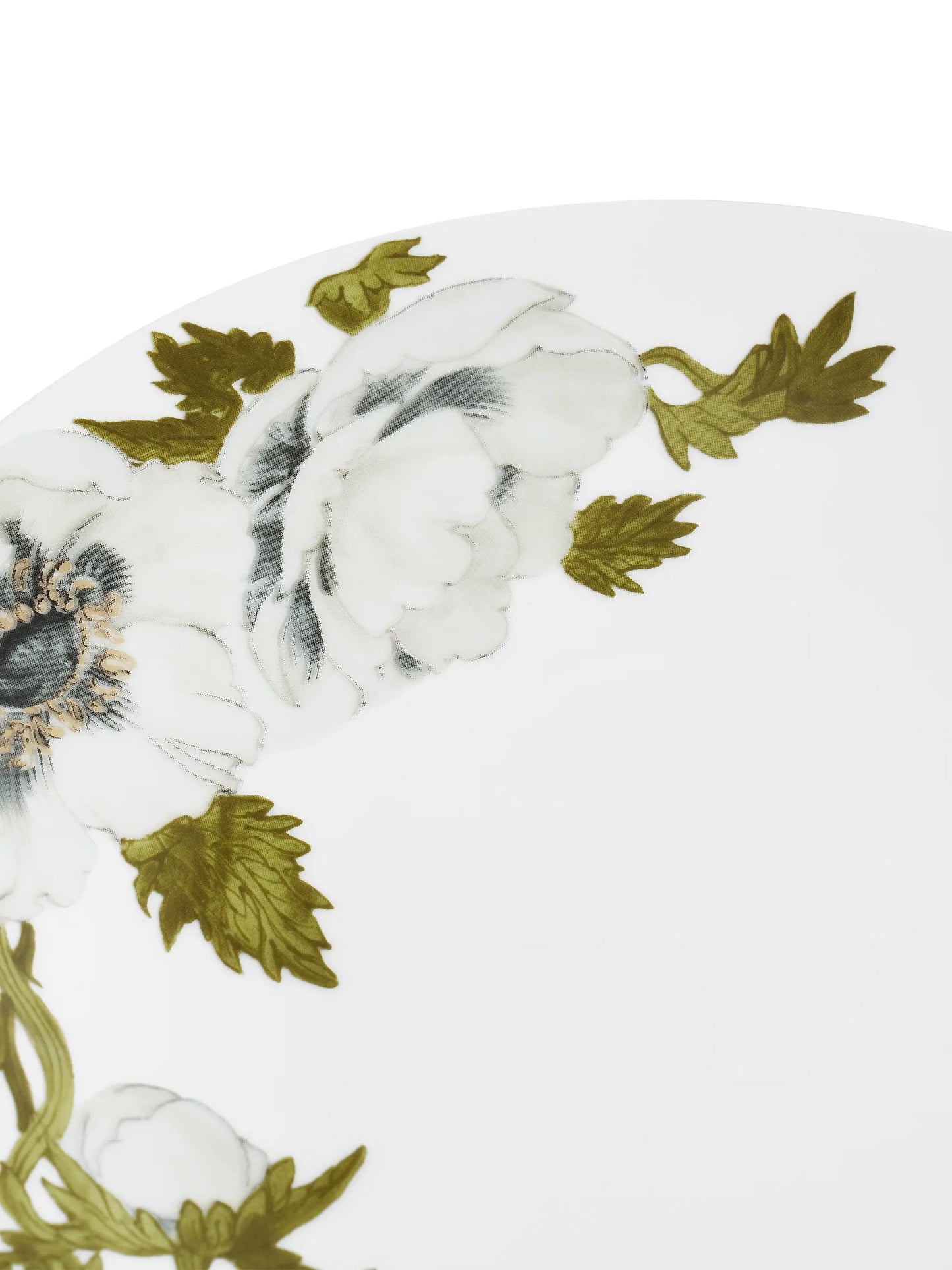 Anemone Salad Plate