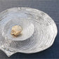 Seaside Sea Scallop Shell Platter