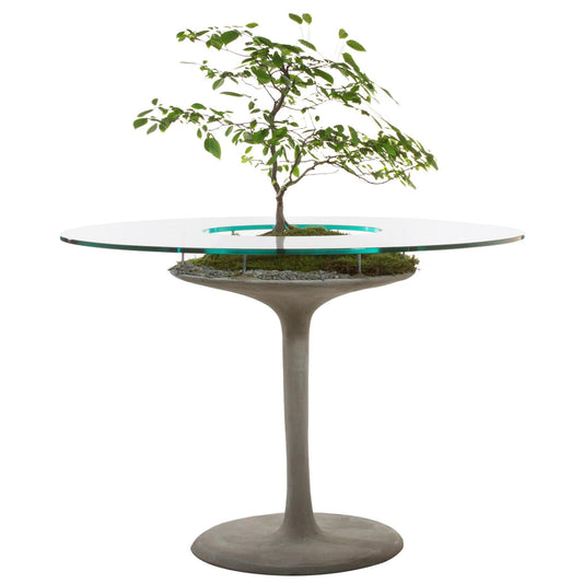 Concrete Eero Table with Planted Center – Round 137 cm