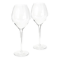 Fantasy 2-Piece Long Stem White Wine Glass Set