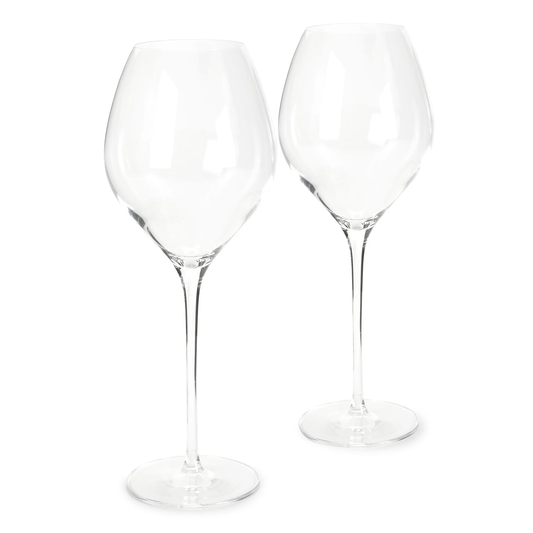 Fantasy 2-Piece Long Stem White Wine Glass Set