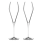 Fantasy 2-Piece Champagne Glass Set