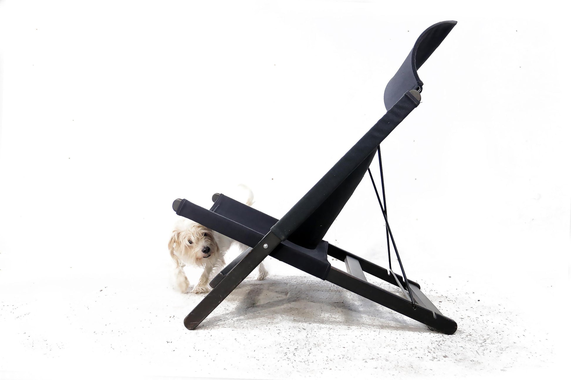 Black pet ramp with a small dog on a white background