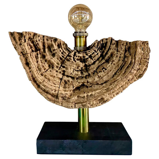 Modern Organic Driftwood Table Lamp with LED Lightbulb Ball, 2021