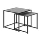 Seaford Nest Table Set – 2-Piece Black Ash Wood & Metal Accent Tables