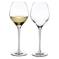 Fantasy 2-Piece Long Stem White Wine Glass Set