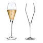 Fantasy 2-Piece Champagne Glass Set