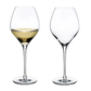 Fantasy 2-Piece White Wine Glass Set