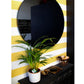 Orbis XL Round Wall Mirror – Black Tinted Glass with Black Powder-Coated Frame