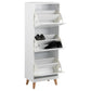 Shoes cabinet Amitra, white, MDF, H133.5x47x30cm