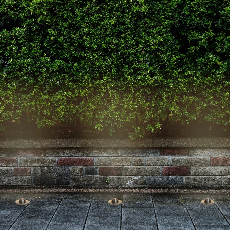 Anti-Glare Outdoor Ground Light – Coastal Stainless Steel