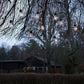 Amber LED GLS Festoon Lights – 10-Light Hanging Set (4.5 m)