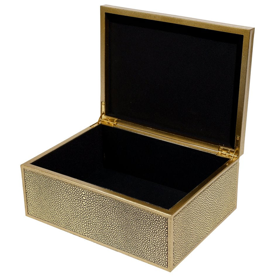 Box plasic Fulga L, golden color, H10x25x18.5cm