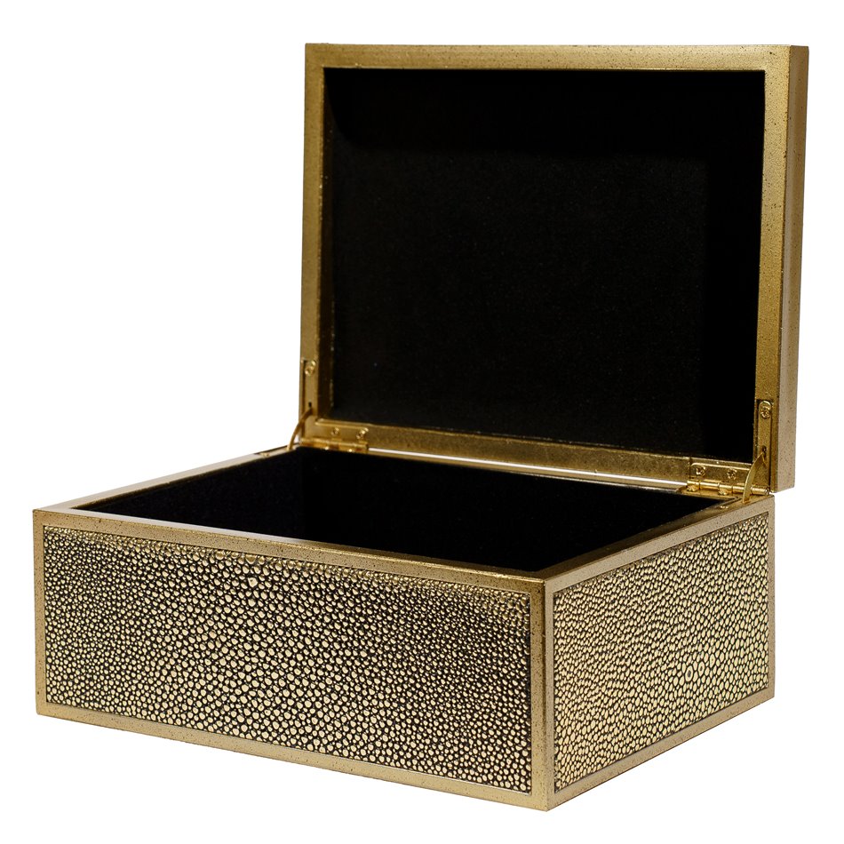 Box plasic Fulga M, golden color, H8.5x20x15cm