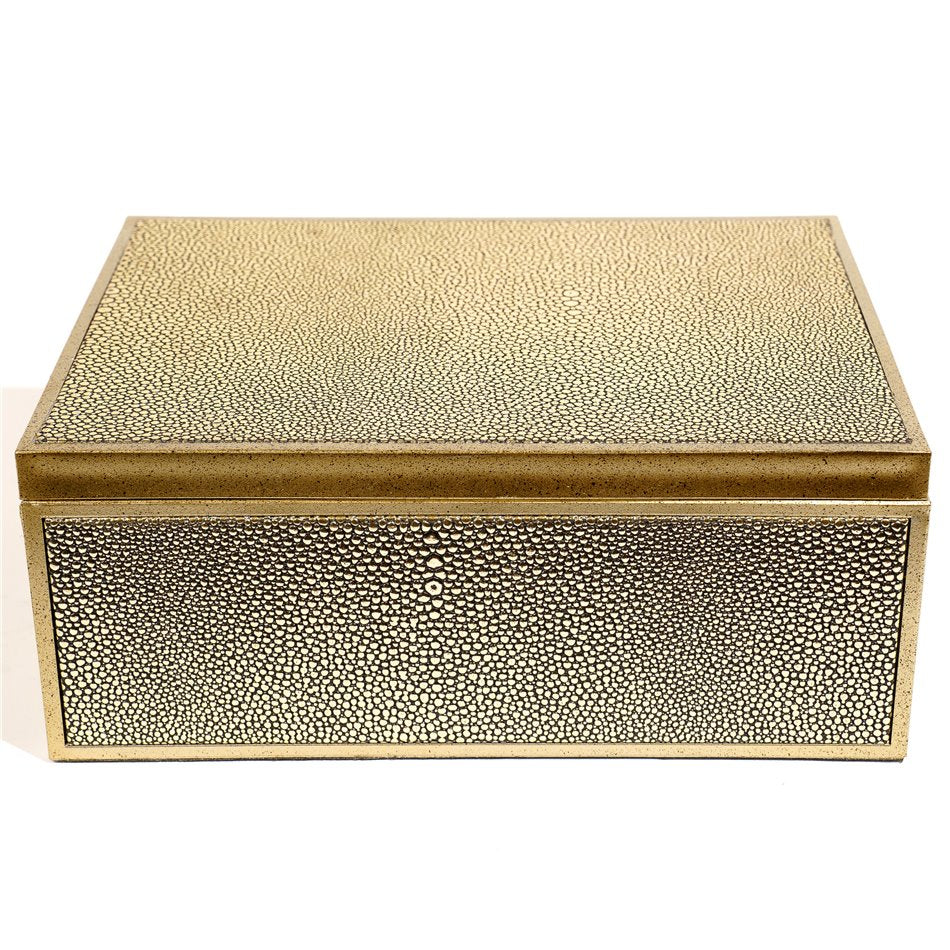 Box plasic Fulga L, golden color, H10x25x18.5cm