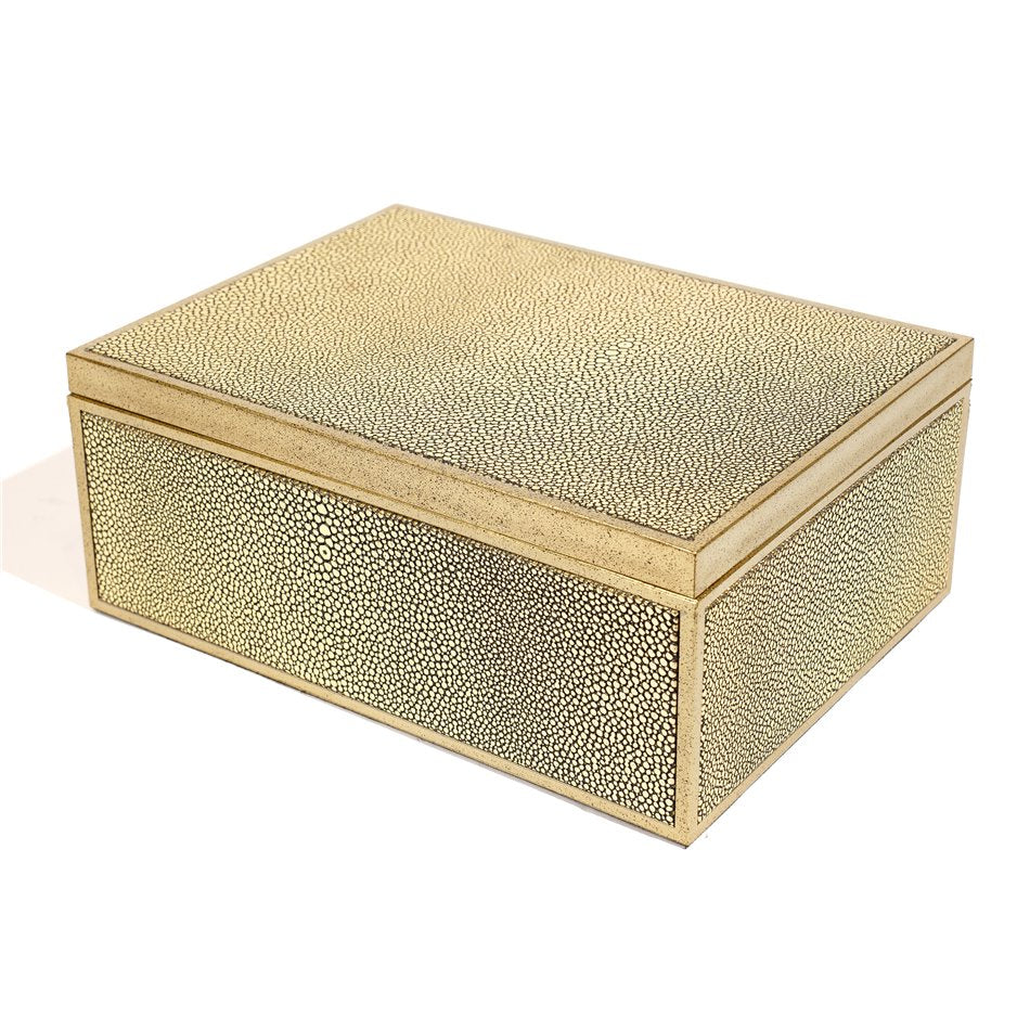 Box plasic Fulga L, golden color, H10x25x18.5cm