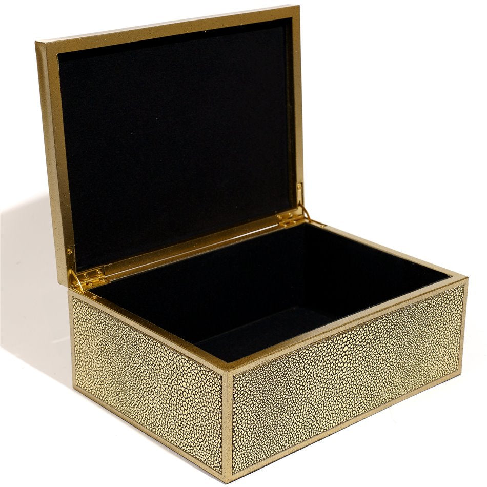 Box plasic Fulga L, golden color, H10x25x18.5cm