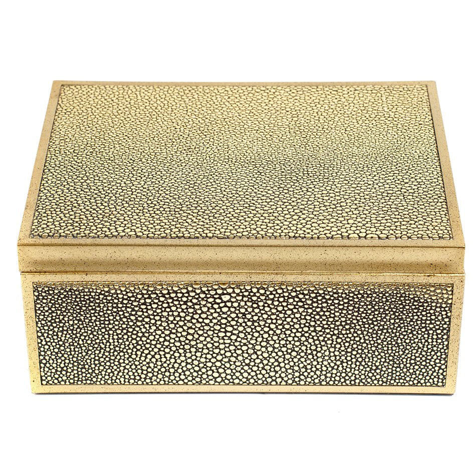 Box plasic Fulga M, golden color, H8.5x20x15cm