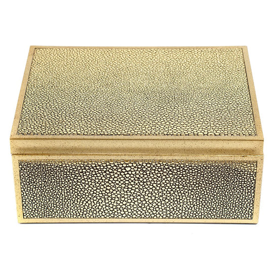 Box plasic Fulga M, golden color, H8.5x20x15cm