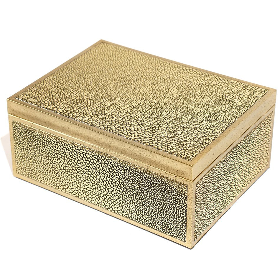 Box plasic Fulga M, golden color, H8.5x20x15cm