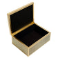 Box plasic Fulga M, golden color, H8.5x20x15cm