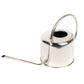 Silver 1 L Metal Watering Can – Long Spout Style
