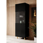 Wardrobe Handa, black, chipboard/plastic/glass, H182x59.6x40cm