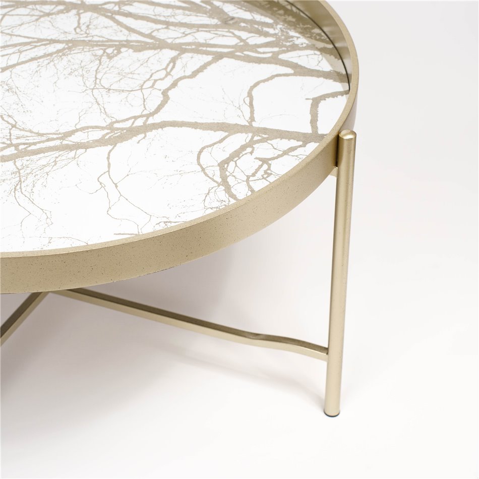 Coffee Table – Gold Metal & Plastic Modern Design