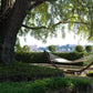Amanda Hammock Outdoor Collection – Free-Standing Hammock with Wood or Steel Base