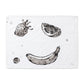 Fruit Hand-Painted Cotton Pillow Cases – Set of 2, 51 x 66 cm