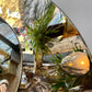 Distressed Bronze and Silver Concave Wall Mirror – Frameless Design