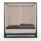 Wooden canopy bed with dark brown slats on a white background