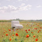 White chair in a field of red flowers with a clear sky