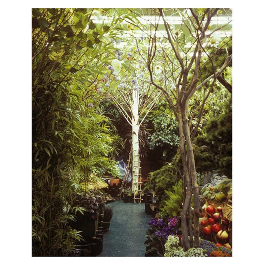 Seul 01 – Artificial Paradise Series Photography