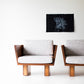 Two modern chairs with wooden frames and white cushions against a white wall with a black framed picture.