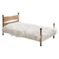 Rare Osvaldo Borsani Single Bed in Brass