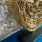 Modern Organic Driftwood Table Lamp with LED Lightbulb Ball, 2021